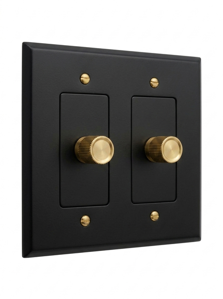 Orin night black with brass rotary dimmer 2-gang
