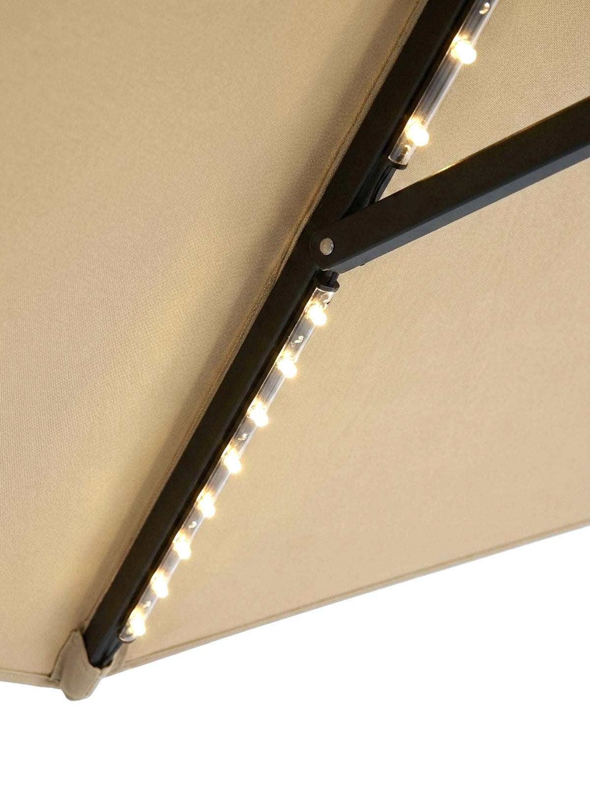 Sera solar LED bulbs glowing warm along a rib, close-up on white