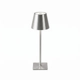 Vessa in Silver