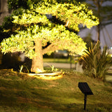 Vale spotlight uplighting a garden tree, solar panel visible